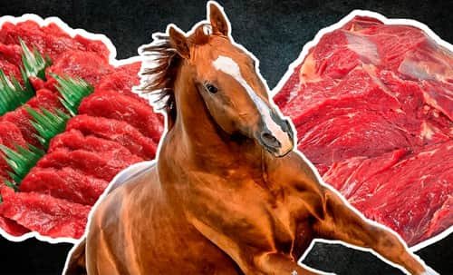 Horse Meat