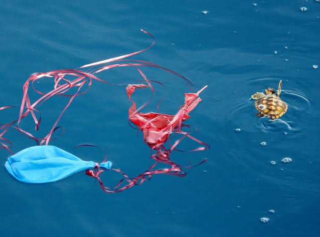 Is It Illegal to Release Balloons That Harm Marine Wildlife in Pennsylvania