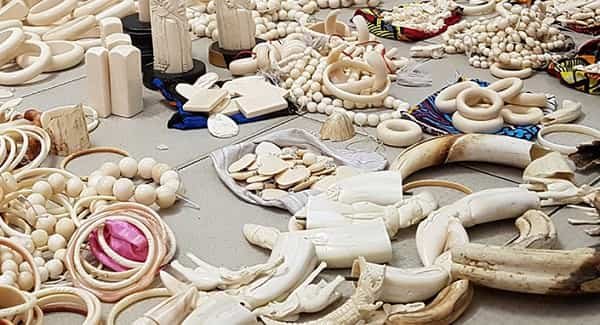 Sell Goods Made From Endangered Animals