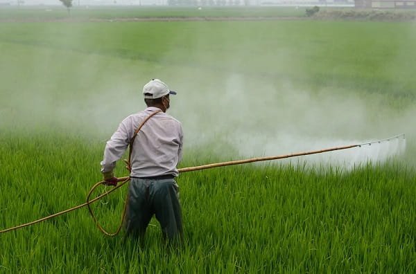 Spray Unapproved Pesticides Near Water Sources 